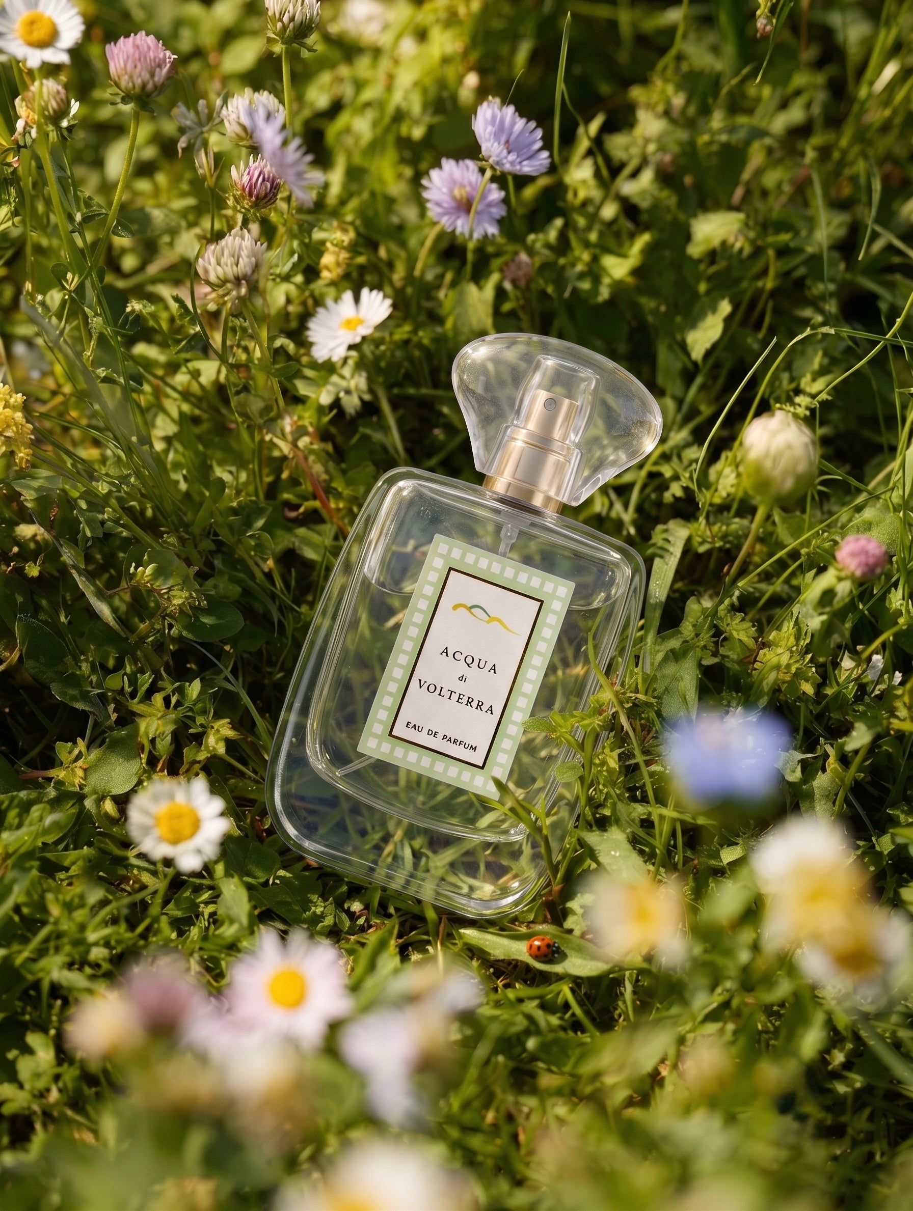Acqua di Volterra 50 ml